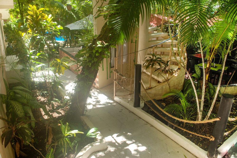 Hotel Beach Energy 5Th Av Playa del Carmen Exterior foto