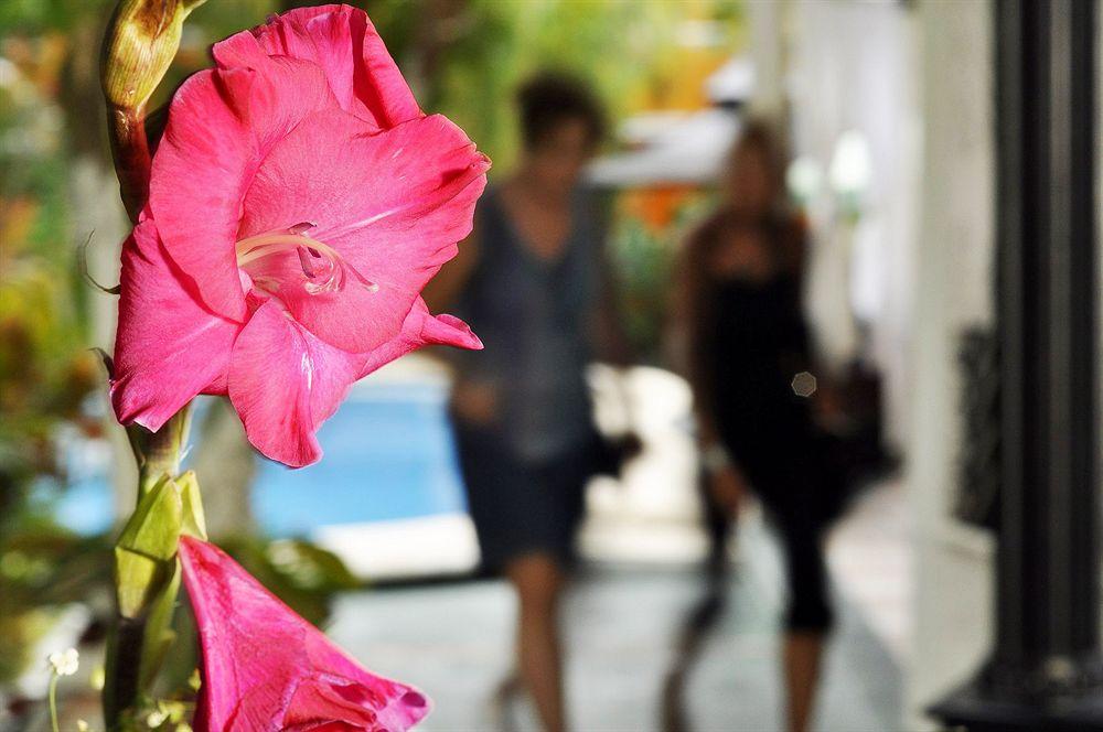 Hotel Beach Energy 5Th Av Playa del Carmen Exterior foto