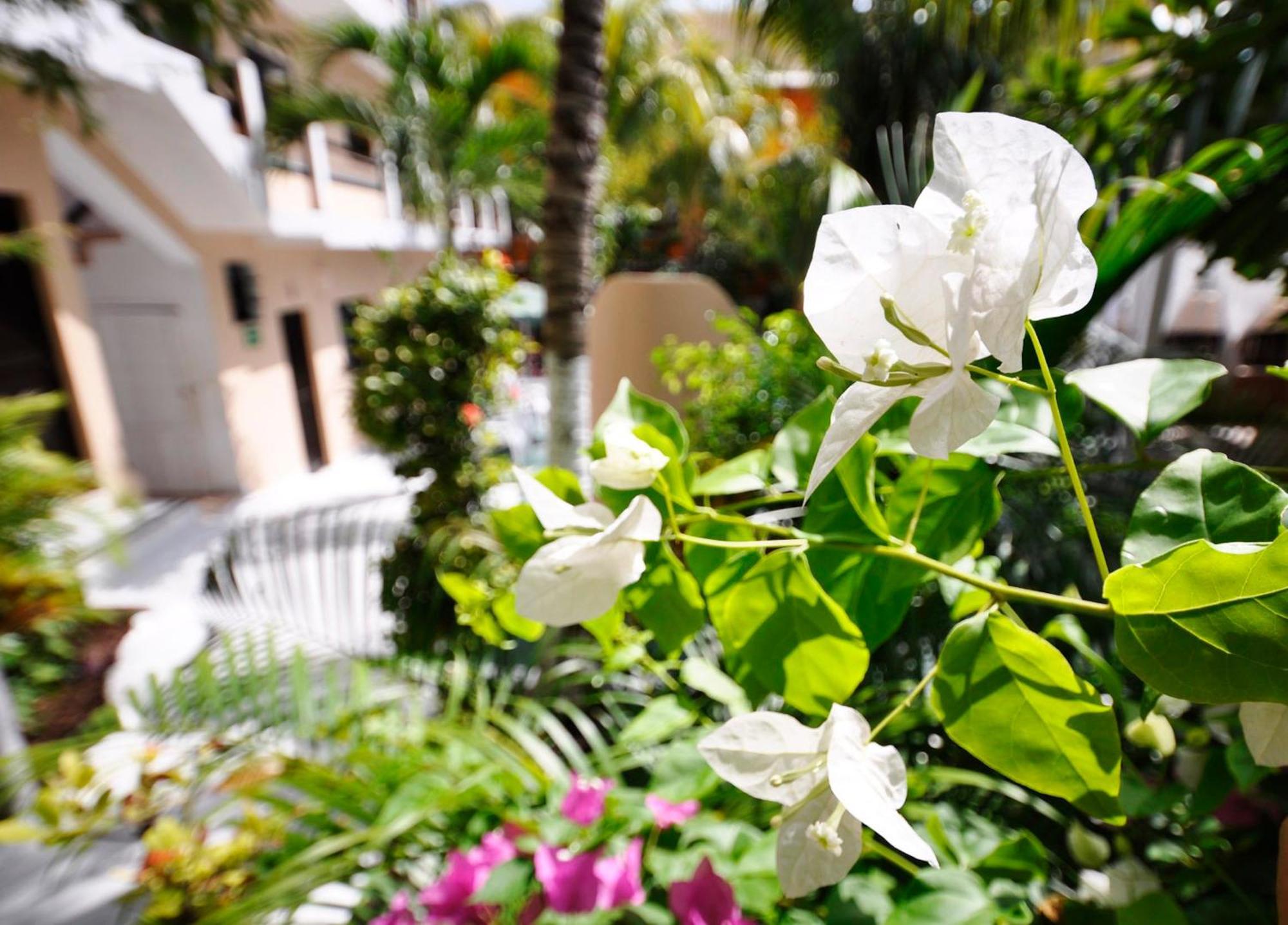 Hotel Beach Energy 5Th Av Playa del Carmen Zimmer foto